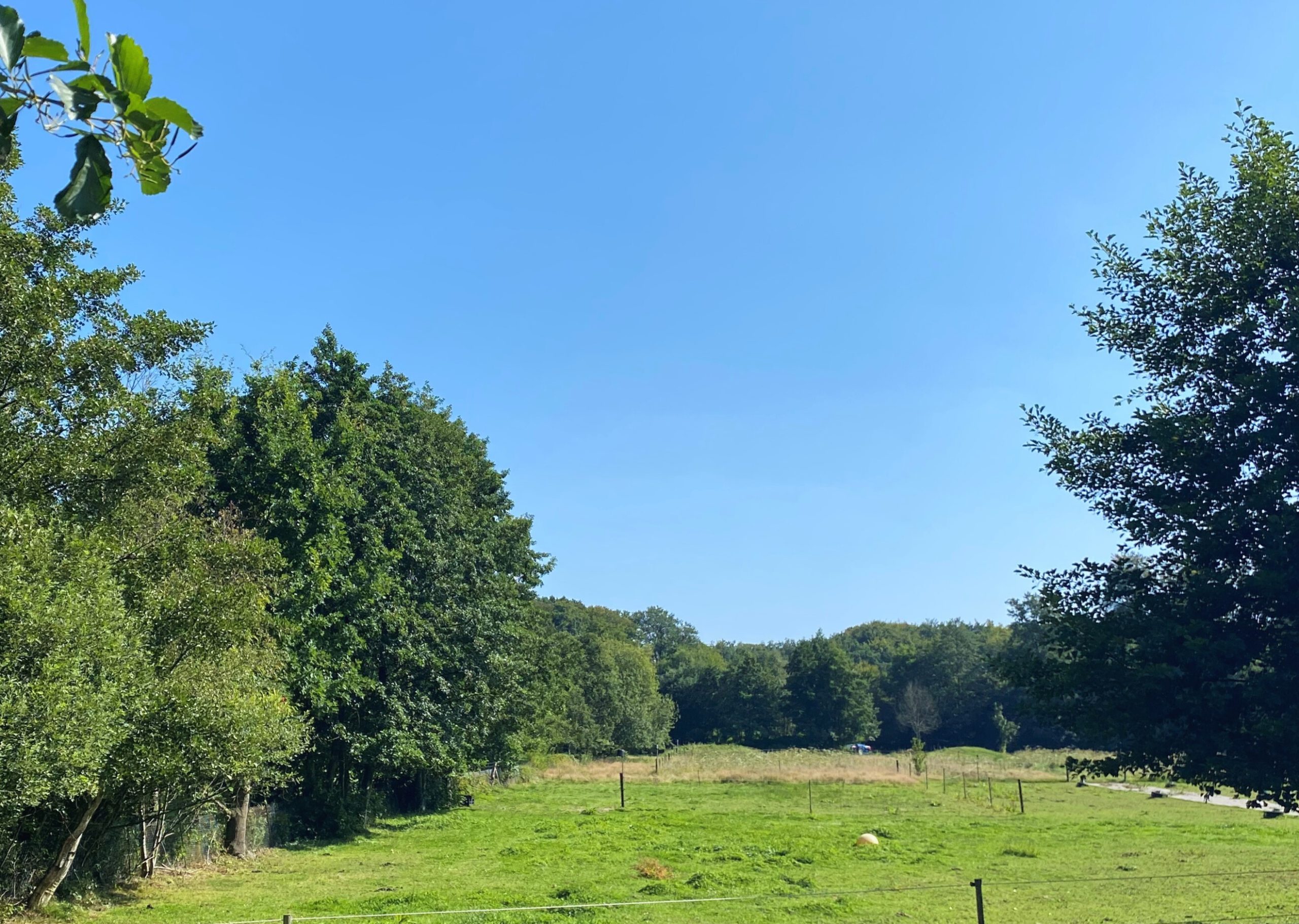 Nieuw gebied in de Laagte van Pijnenburg aangekocht