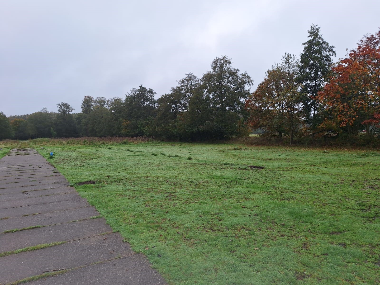 Nieuwe aankoop Laagte van Pijnenburg in de herfst