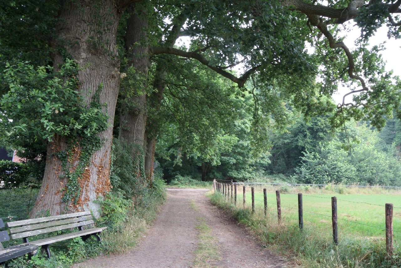 Leugenbankje Amerongse Bovenpolder