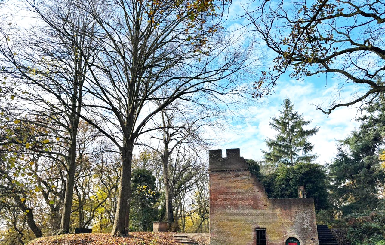 Lindes op de Grebbeberg.