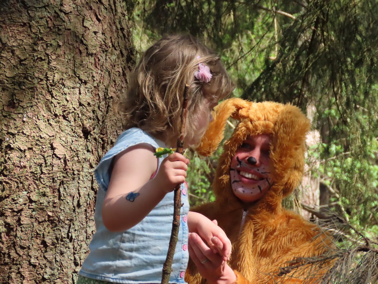 Vossenjacht Heidestein