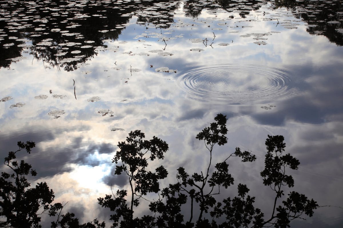 Expositie in Koetshuis Stoutenburg